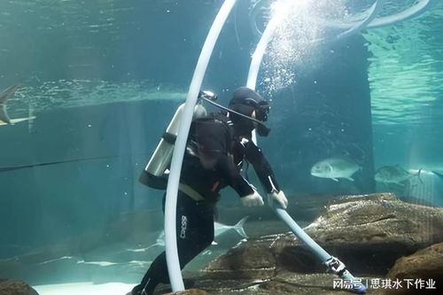 衡州专业水下打捞服务指南 如何寻找可靠的水下打捞公司